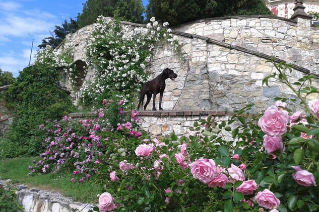 Státní zámek Stekník hlídá Mia | © NPÚ